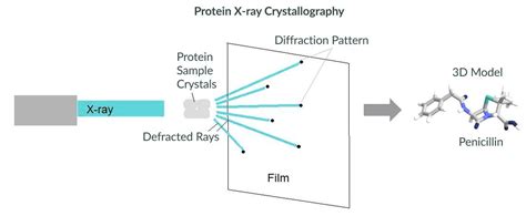 10 X Rays Uses In Everyday Life Studiousguy
