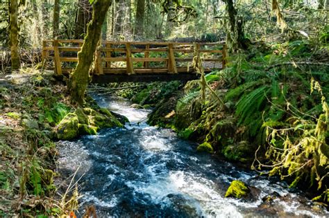 Oregon Ecosystems - Nature Journals