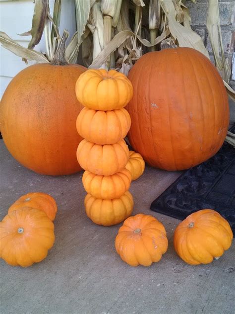 We did not find results for: Mini Pumpkins are simply the cutest vegetable around. I ...