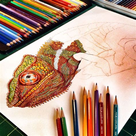 Incredibly Detailed Pencil Crayon Drawings Of Iguana And Chameleon By