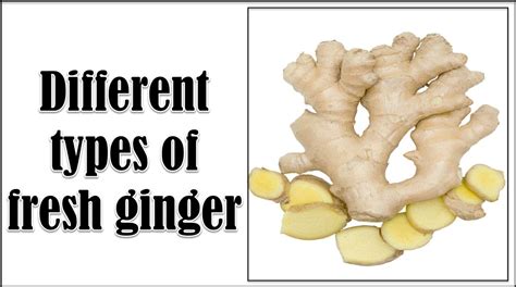 11 Different Types Of Fresh Ginger With Images Asian Recipe