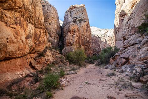 Walking Arizona A Rocky Path