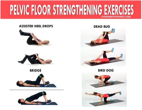 On the following pages, you will find directions that explain two types of pelvic floor exercises to help strengthen your muscles. Pelvic floor exercises | Floor workouts, Post partum ...