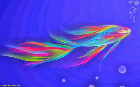 Rainbowfish Tropical Fish Wallpapers Hd Desktop And