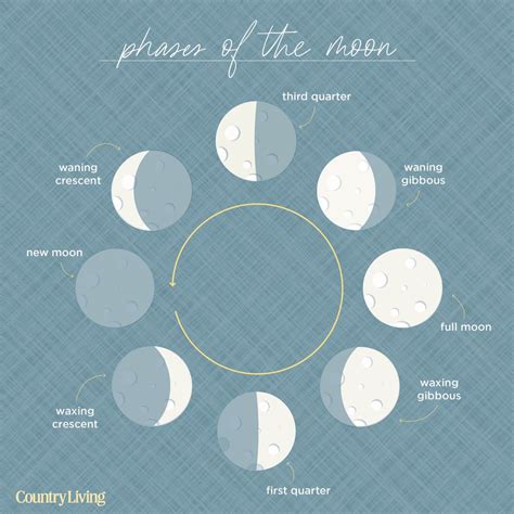 The Moon Phases Explained Diagram Included