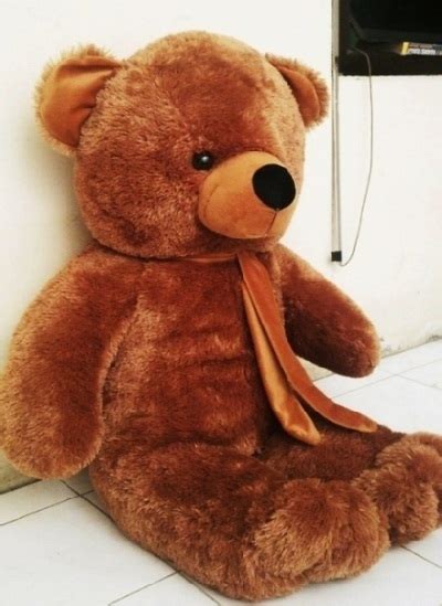 Gambar Boneka Teddy Bear Besar Warna Coklat Ide