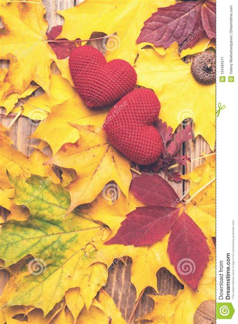 Love In Autumn Two Hearts On Leaves Background Autumn Mood Seasonal