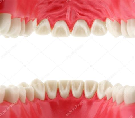 Mouth With Teeth Inside View Stock Photo By ©dimjul 8870516