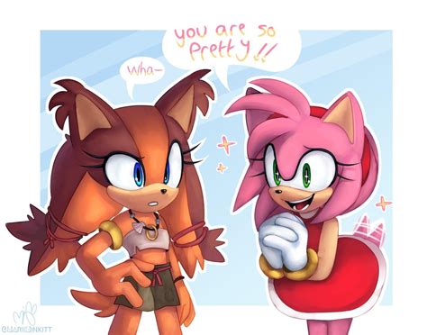 Amy And Sticks Sonic The Hedgehog Know Your Meme