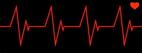 Heartbeat Line Clipart Black And White Png 20 Free Cliparts Download