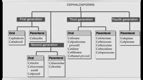 Cephalosporin Classification Youtube