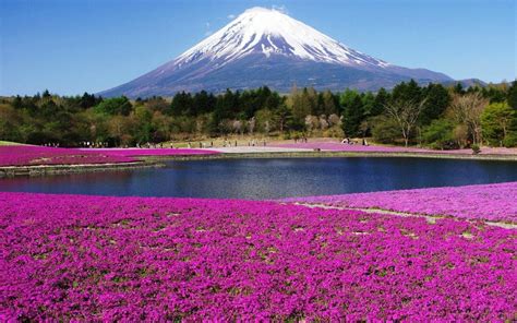 Mt Fuji Wallpaper 71 Pictures