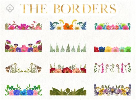 Wildflower Border Clipart Flower Borders Clip Art Colorful Etsy Singapore