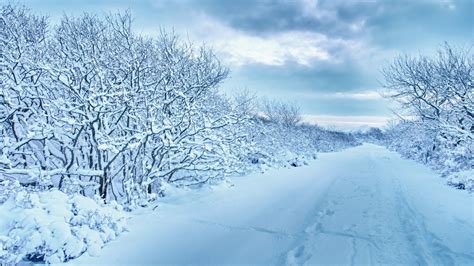 Download Wallpaper 1920x1080 Snow Trees Road Traces Winter Cloudy