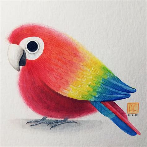 How To Draw A Scarlet Macaw Step By Step Easy How You Can Draw With A
