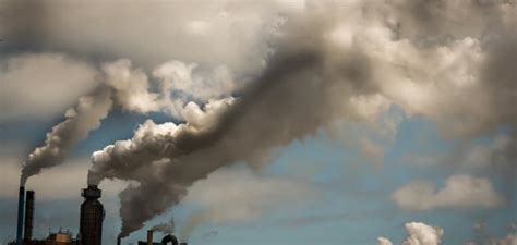بحث بالصور عن تلوث البيئة