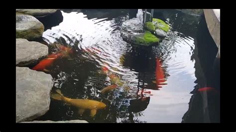 Beautiful Backyard Fish Ponds Youtube