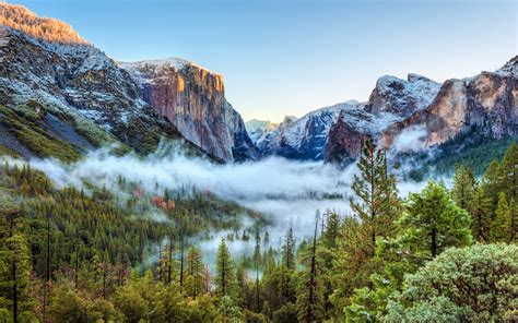 Wallpaper Usa Yosemite National Park California Mountains Fog