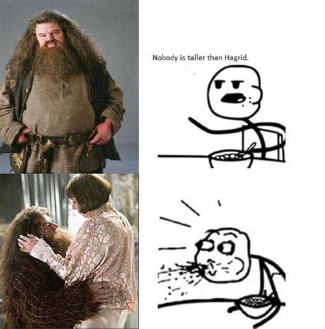 20 Hilarious Memes About Hagrid We Cant Stop Laughing At