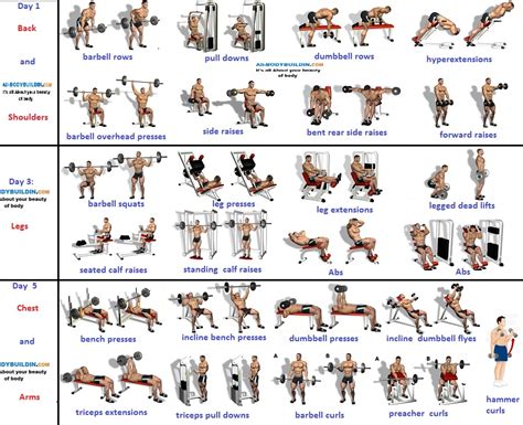 5 Day Weekly Workout Routine Workout Workout Plans And 5 Day Workouts On Pinterest Apr 19