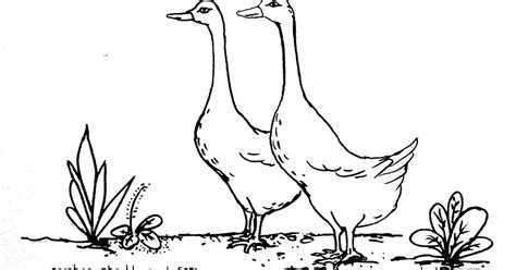 44 Gambar Sketsa Hewan Ternak Gratis - Gambar Hewan