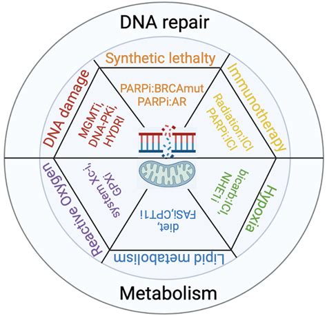 Dna Damage And Metabolic Mechanisms Of Cancer Drug Resistance
