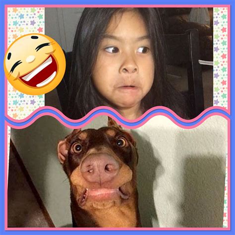 Ploy copied dogs' faces so funny | Funny dogs, Make funny faces, Funny faces