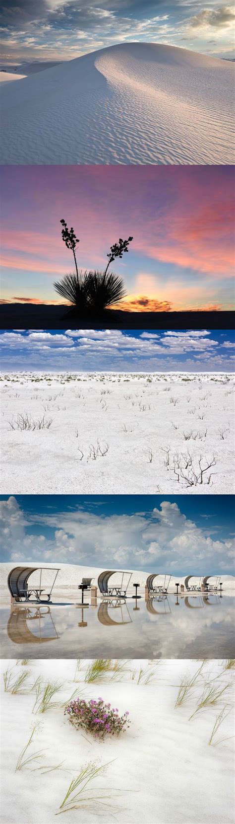 Photographer Beckons You To Explore White Sands National Park Mexico