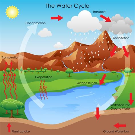 Where Does Your Water Come From Sources The Water Cycle