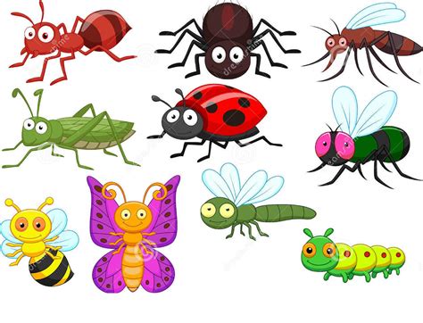 Insect Clipart Coloring Pages And Other Free Printable Design Themes
