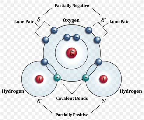 Hydrogen Atom Water Molecule Molecular Orbital Diagram Png