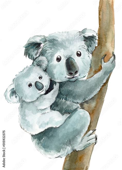 Cute Koalas Mom And Baby On An Isolated Transparent Background