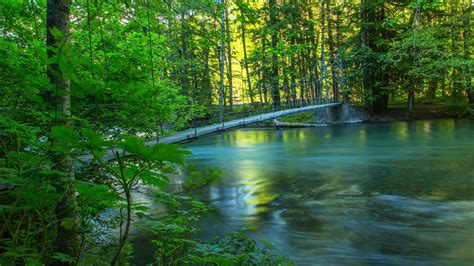 デスクトップ壁紙 日光 風景 森林 湖 反射 緑 ブリッジ 川 荒野 池 ジャングル ストリーム 雨林 自然保護
