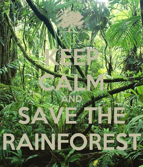Save The Rainforest Quotes Quotesgram