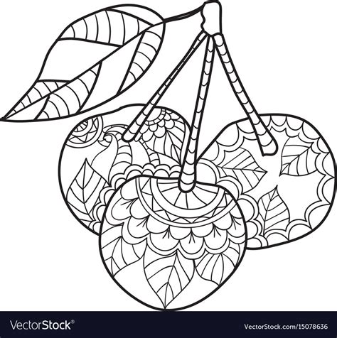 Muse24102079 click to view uploads for. Coloring pages for adults cherry sketch fruits Vector Image