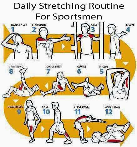 The Wealth Of Health Daily Stretching Routine For Sportsmen