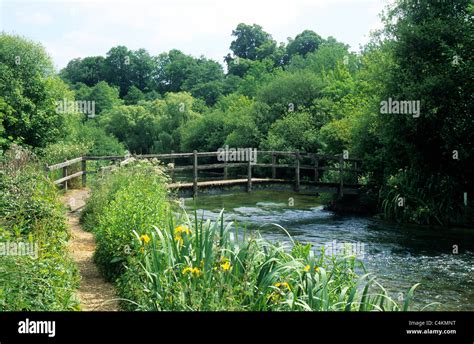 River Itchen Ovington Hampshire England Uk English Rivers Green