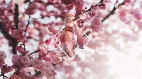 Cherry Blossom Anime Wallpaper Hd Anime Cherry Blossom Wallpapers Top
