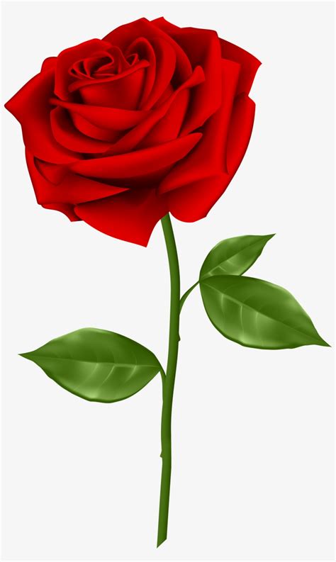 Безплатен Clipart за червени рози Изтеглете безплатни картинки