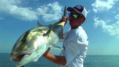 Amberjack Fishing Gulf Of Mexico Youtube