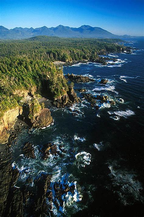 Pacific Rim National Park Reserve Vancouver Island News Events