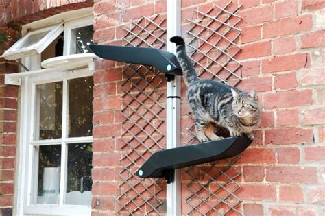 using catipilla as an outdoor cat climbing frame katzenworld