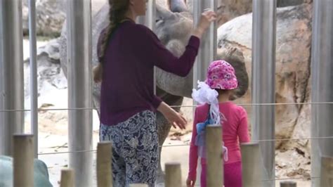 Brevard Zoo Offering Free Admission To Kids In August September