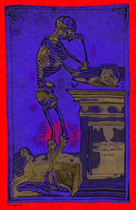 Halloween Skeleton Art Free Stock Photo Public Domain Pictures