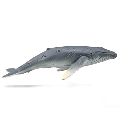 Collecta Humpback Whale Calf Animal Kingdoms Toy Store