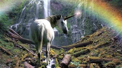 To which we offer her many thanks! Top 50+ Most Colorful Pictures of Unicorns