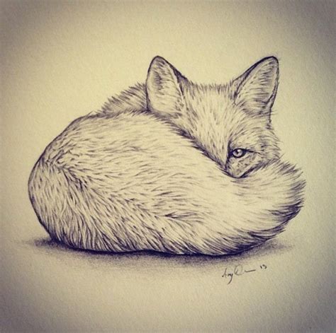 Pin By Sami B On Drawing Art Cute Fox Drawing Animal Drawings Cute