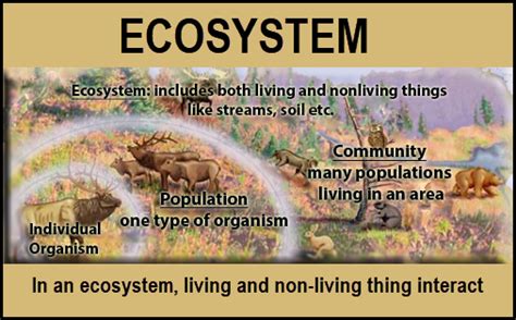 Sol 43 Ecosystems Standards