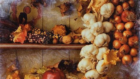 Fall Harvest Wallpapers Top Free Fall Harvest Backgrounds