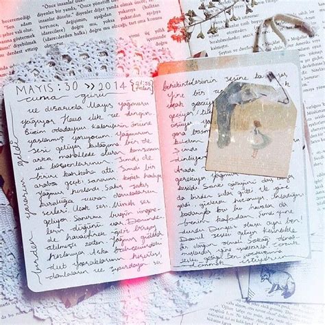 The Journal Diaries Is A Blog Segment Where We Get A Sneak Peek Into
